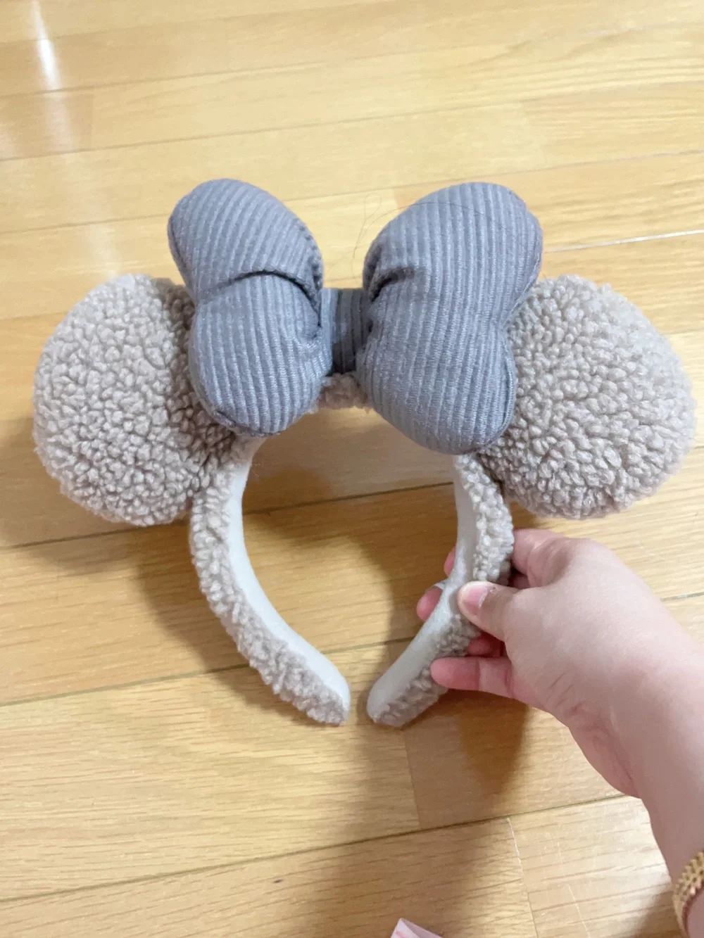Disneyland Resort set two